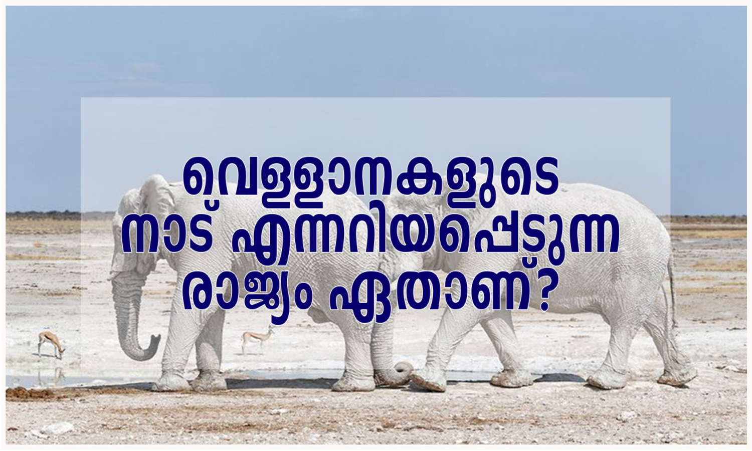 Which country is known as the land of white elephants?