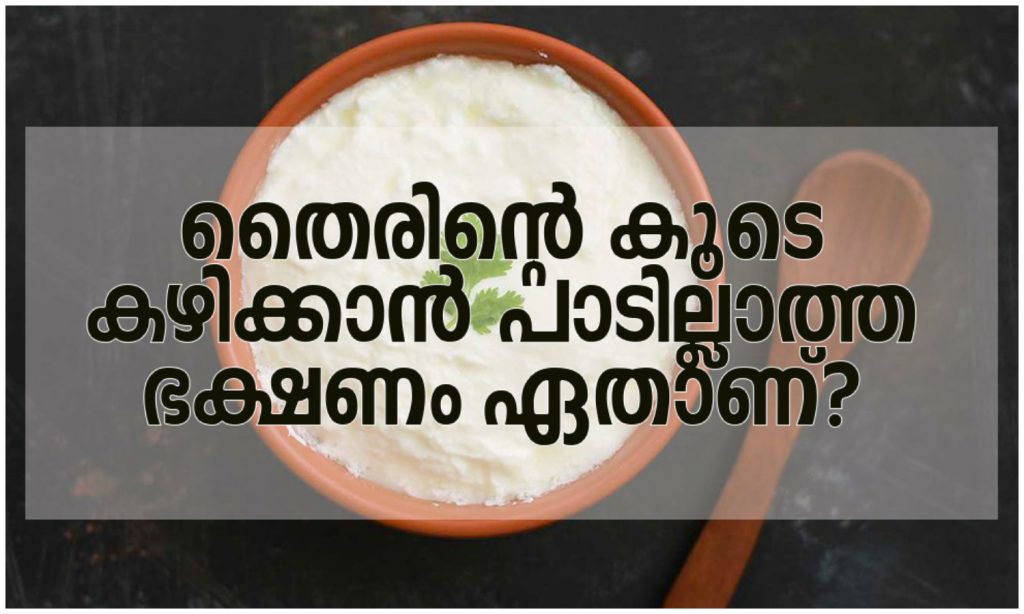 Which food should not be eaten with curd?